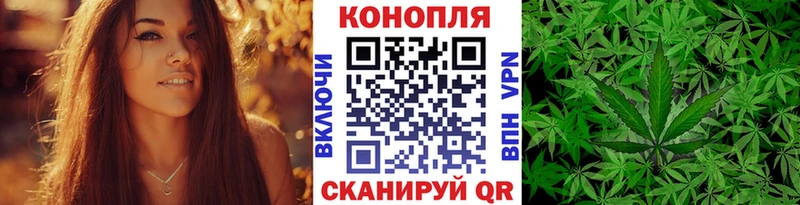 цена   Суворов  Бошки марихуана гибрид 